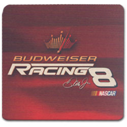 Dale Earnhardt Junior Coasters