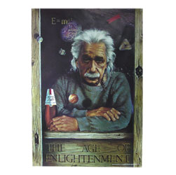 Michelob Light Einstein Poster